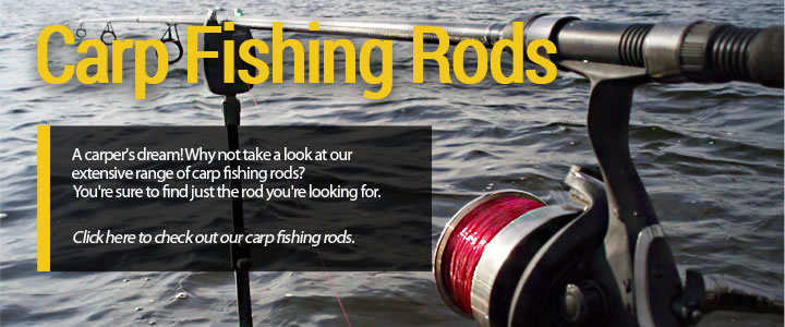 carp fishing rods