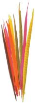 Colour Extracted Pheasant Tails