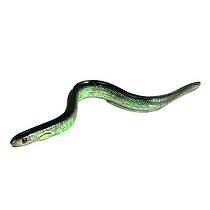 Sidewinder Shimmer Eels Lures